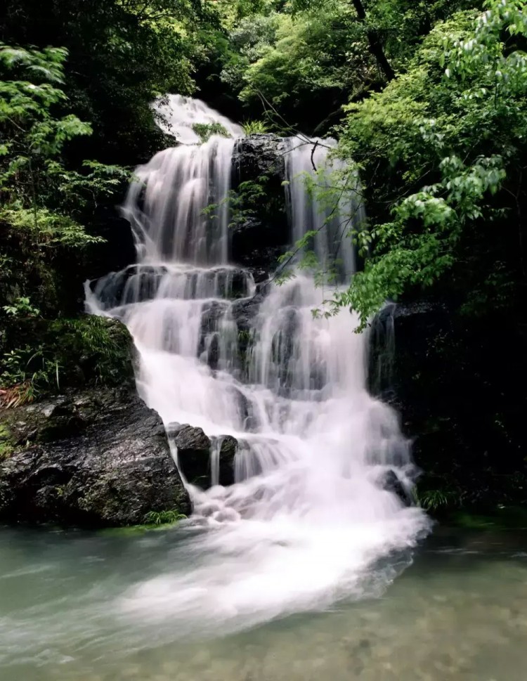 景美人少来石台仙寓山给身心做个森林浴SPA